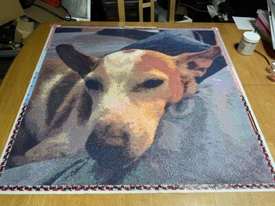 Sleepy Dog (Custom) 80 x 80cm by Lyn Sahyoun