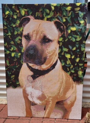 Custom 70 x 100cm by Dianne Boardman