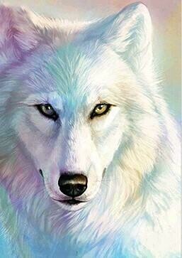 White Wolf - 30 x 40cm Full Drill (Square) Diamond Painting Kit - Currently in stock