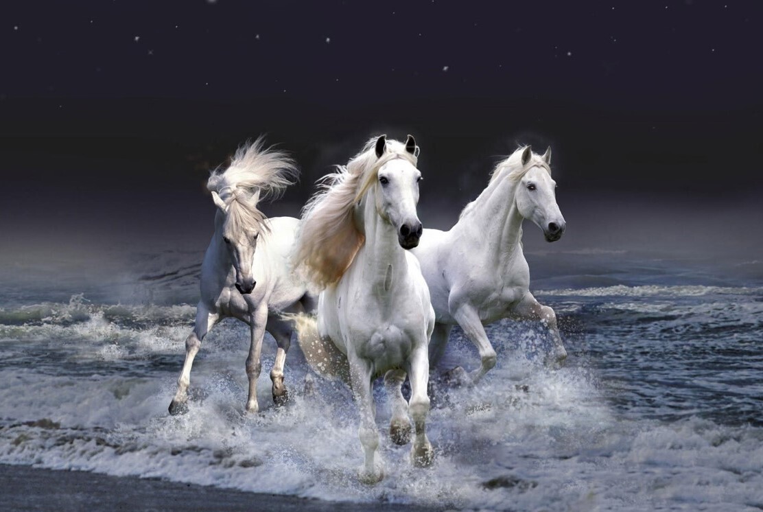 3 White Horses - Full Drill Diamond Painting - Specially ordered for you. Delivery is approximately 4 - 6 weeks.