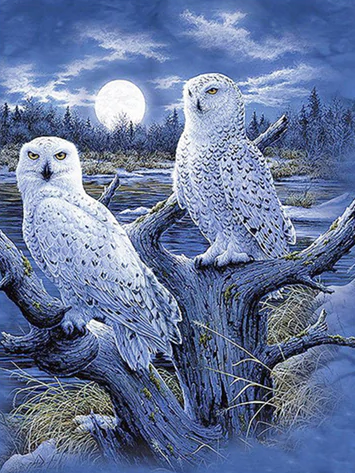 2 White Owls - Full Drill Diamond Painting - Specially ordered for you. Delivery is approximately 4 - 6 weeks.