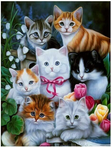 7 Cats - Full Drill Diamond Painting - Specially ordered for you. Delivery is approximately 4 - 6 weeks.