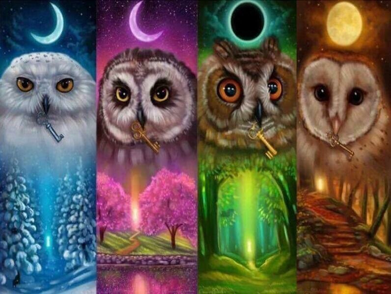 4 Seasons Owls - Full Drill Diamond Painting - Specially ordered for you. Delivery is approximately 4 - 6 weeks.