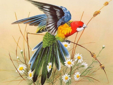 Birds 10 - Full Drill Diamond Painting - Specially ordered for you. Delivery is approximately 4 - 6 weeks.