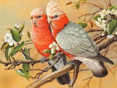 Birds 15 - Full Drill Diamond Painting - Specially ordered for you. Delivery is approximately 4 - 6 weeks.