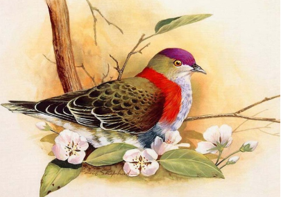 Birds 12 - Full Drill Diamond Painting - Specially ordered for you. Delivery is approximately 4 - 6 weeks.