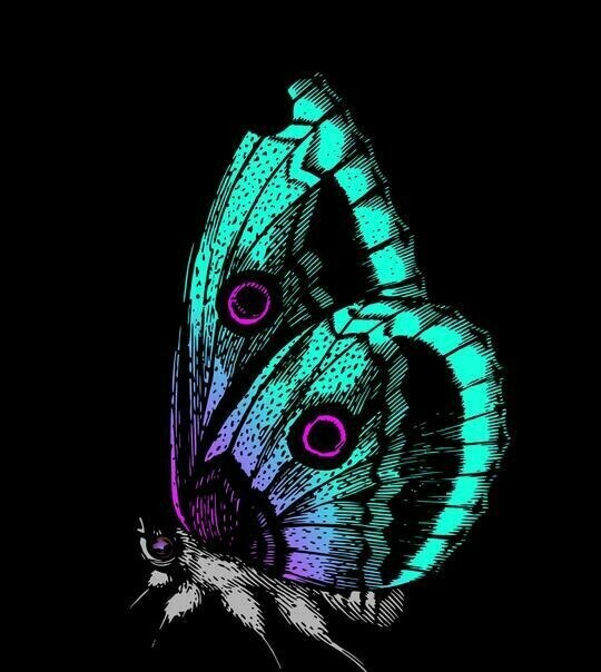 Black Background Butterfly - Full Drill Diamond Painting - Specially ordered for you. Delivery is approximately 4 - 6 weeks.