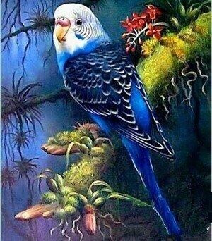 Budgie - Full Drill Diamond Painting - Specially ordered for you. Delivery is approximately 4 - 6 weeks.