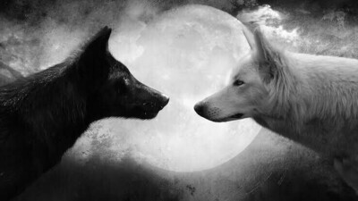 Black And White Night - Full Drill Diamond Painting - Specially ordered for you. Delivery is approximately 4 - 6 weeks.