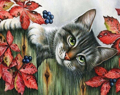 Cat On Fence- Full Drill Diamond Painting - Specially ordered for you. Delivery is approximately 4 - 6 weeks.