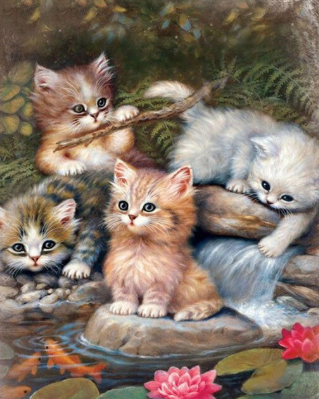 Cats At The Pond - Full Drill Diamond Painting - Specially ordered for you. Delivery is approximately 4 - 6 weeks.