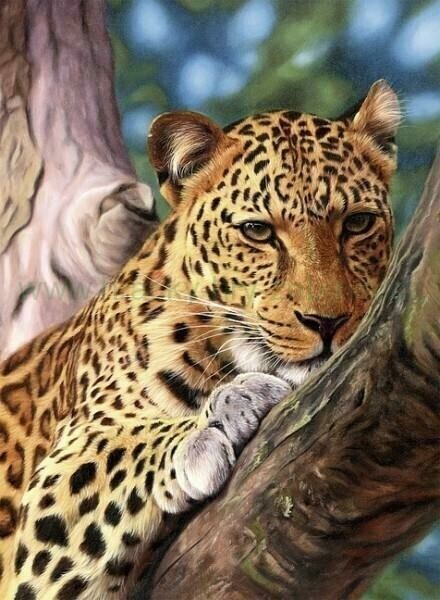 Cheetah in a Tree - Full Drill Diamond Painting - Specially ordered for you. Delivery is approximately 4 - 6 weeks.