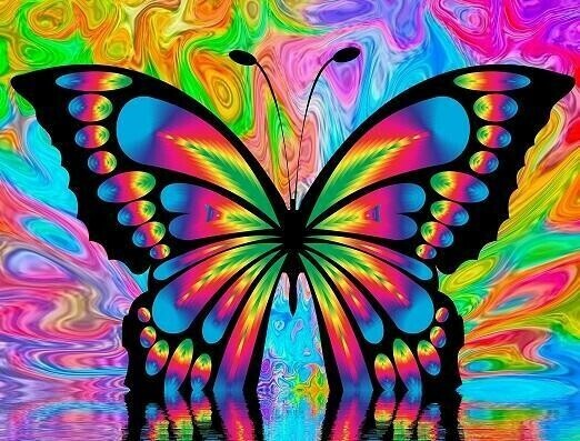 Colourful Butterfly - Full Drill Diamond Painting - Specially ordered for you. Delivery is approximately 4 - 6 weeks.