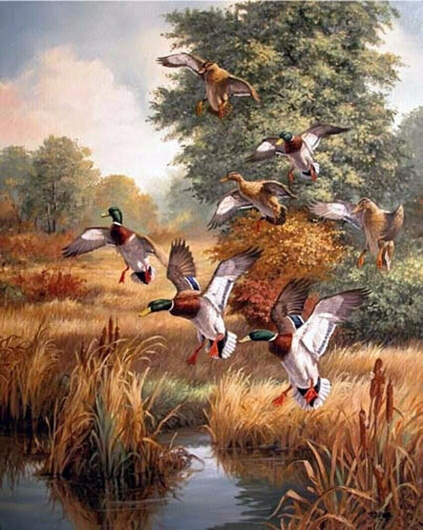 Ducks - Full Drill Diamond Painting - Specially ordered for you. Delivery is approximately 4 - 6 weeks.