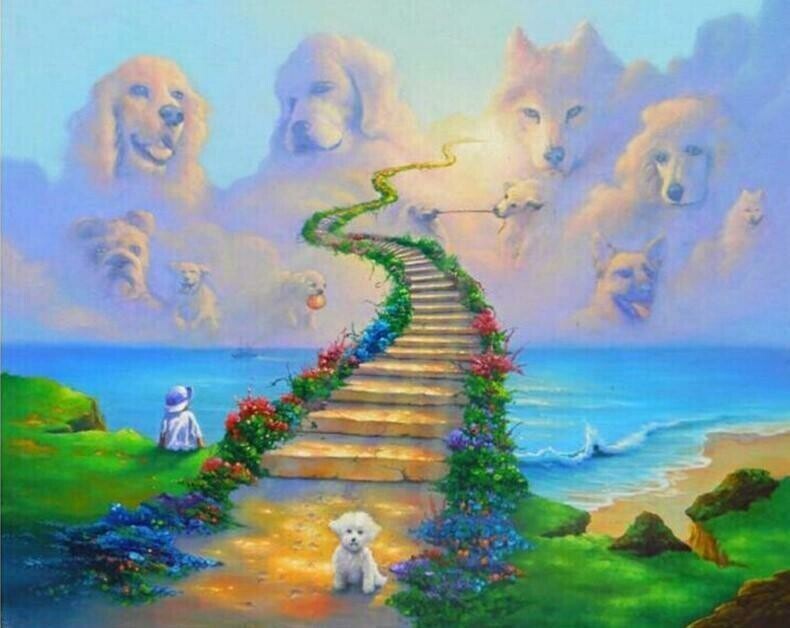 Dog Heaven - Full Drill Diamond Painting - Specially ordered for you. Delivery is approximately 4 - 6 weeks.