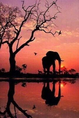 Elephant Sunset - Full Drill Diamond Painting - Specially ordered for you. Delivery is approximately 4 - 6 weeks.
