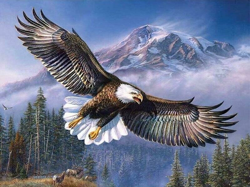 Eagle - Full Drill Diamond Painting - Specially ordered for you. Delivery is approximately 4 - 6 weeks.