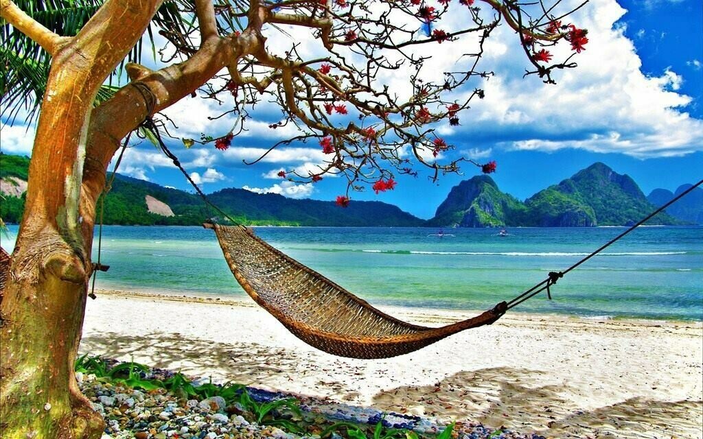 Hammock - Specially ordered for you. Delivery is approximately 4 - 6 weeks.