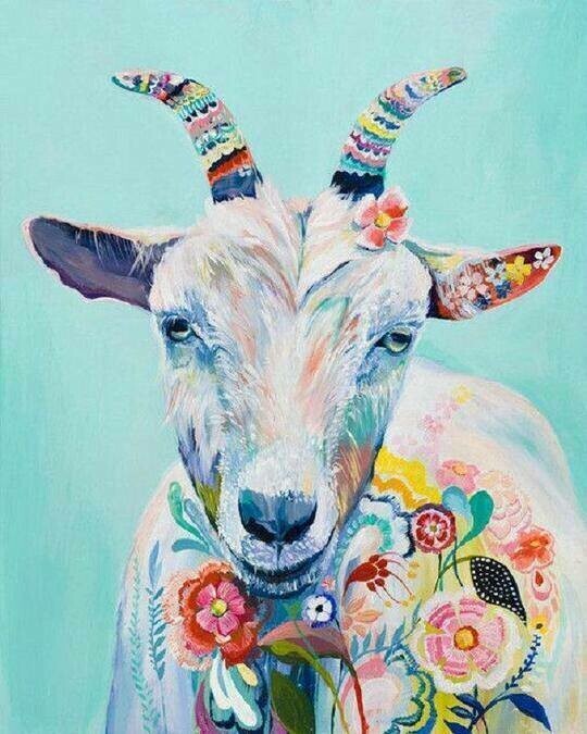 Hippy Goat - Specially ordered for you. Delivery is approximately 4 - 6 weeks.