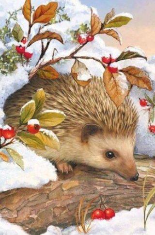 Hedgehog In Snow - Specially ordered for you. Delivery is approximately 4 - 6 weeks.