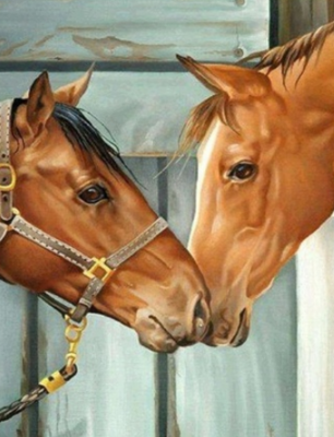 Horsey Nuzzle - Specially ordered for you. Delivery is approximately 4 - 6 weeks.