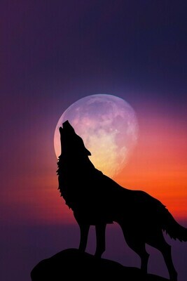 Howl Moon - Specially ordered for you. Delivery is approximately 4 - 6 weeks.