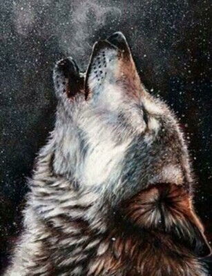 Howling Wolf - Specially ordered for you. Delivery is approximately 4 - 6 weeks.