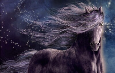 Horse C - Specially ordered for you. Delivery is approximately 4 - 6 weeks.