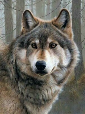 Lone Wolf - Specially ordered for you. Delivery is approximately 4 - 6 weeks.