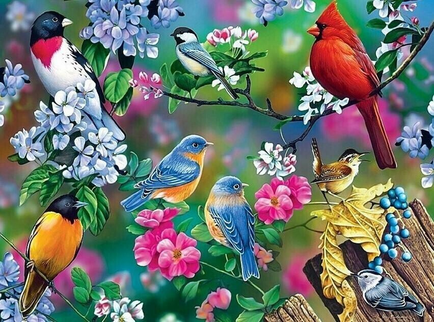 Lots Of Birds - Specially ordered for you. Delivery is approximately 4 - 6 weeks.
