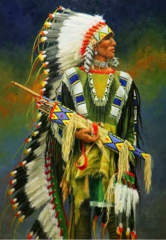 Native American 08 - Specially ordered for you. Delivery is approximately 4 - 6 weeks.