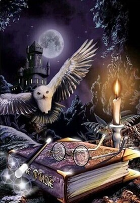 Owl and magic - Specially ordered for you. Delivery is approximately 4 - 6 weeks.