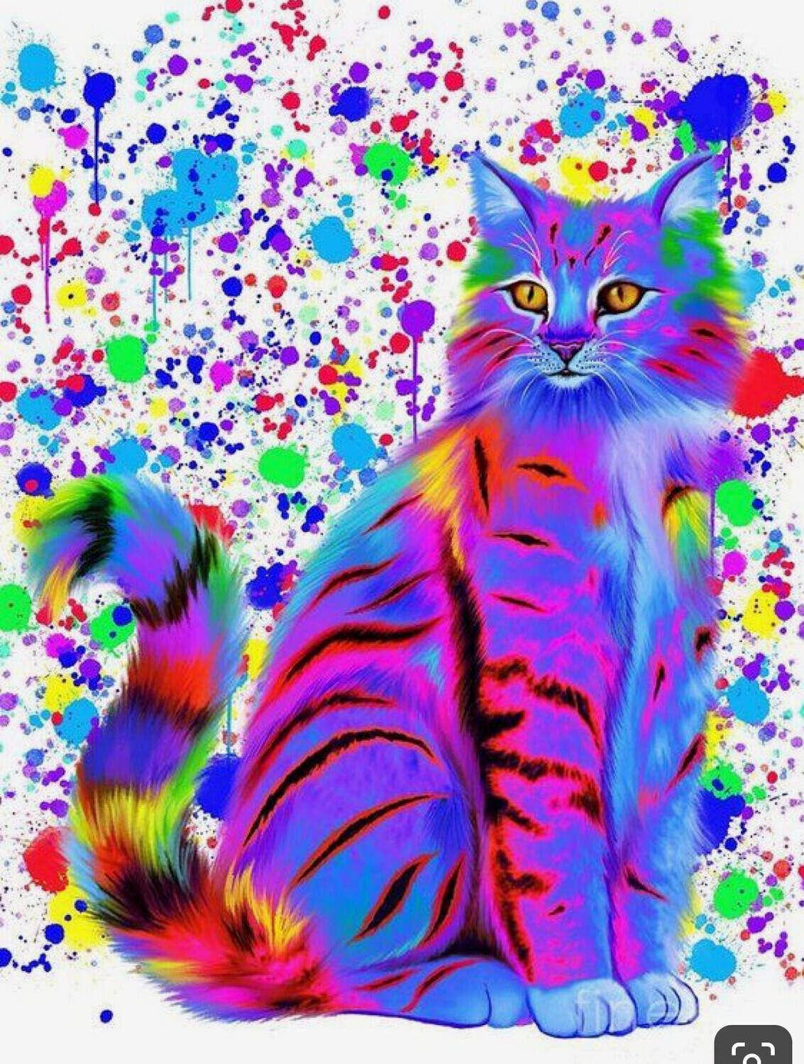Paint Splash Cat - Specially ordered for you. Delivery is approximately 4 - 6 weeks.