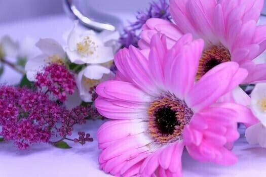 Pink flowers - Specially ordered for you. Delivery is approximately 4 - 6 weeks.
