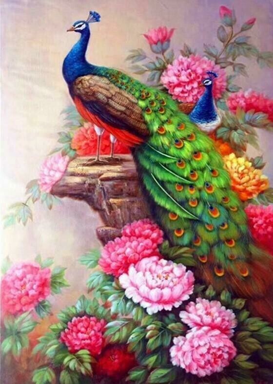 Peacocks and flowers 2 - Specially ordered for you. Delivery is approximately 4 - 6 weeks.