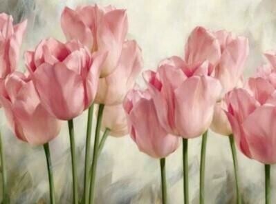 Pink Tulips - Specially ordered for you. Delivery is approximately 4 - 6 weeks.