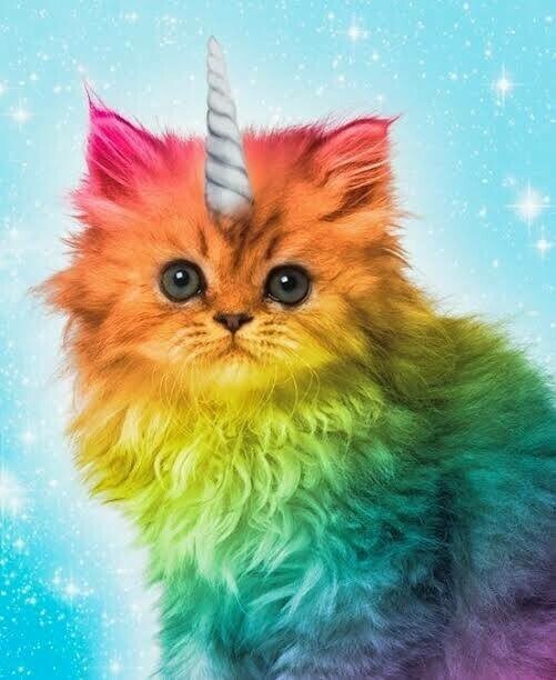 Rainbow Animals 12 - Specially ordered for you. Delivery is approximately 4 - 6 weeks.