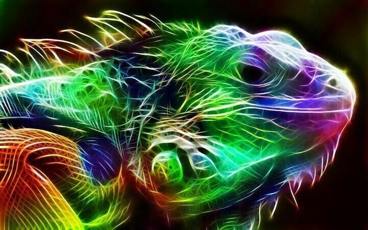Rainbow fractal 02 - Specially ordered for you. Delivery is approximately 4 - 6 weeks.