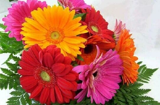 Red, yellow and Pink Flowers - Specially ordered for you. Delivery is approximately 4 - 6 weeks.