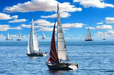 Sailing Boats - Specially ordered for you. Delivery is approximately 4 - 6 weeks.