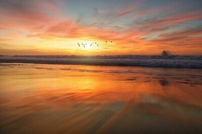 Sunset with birds - Specially ordered for you. Delivery is approximately 4 - 6 weeks.