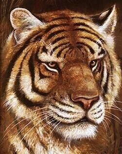 Tiger Face - Specially ordered for you. Delivery is approximately 4 - 6 weeks.
