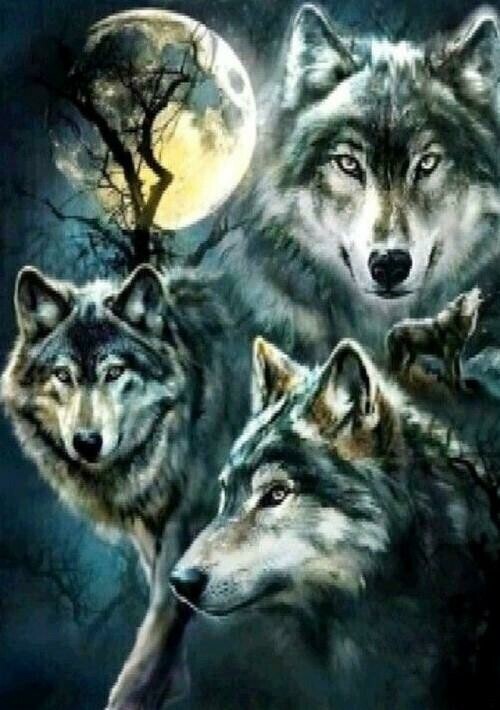 Trio of Wolves - Specially ordered for you. Delivery is approximately 4 - 6 weeks.