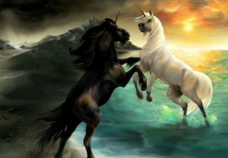 Unicorn Fight - Specially ordered for you. Delivery is approximately 4 - 6 weeks.