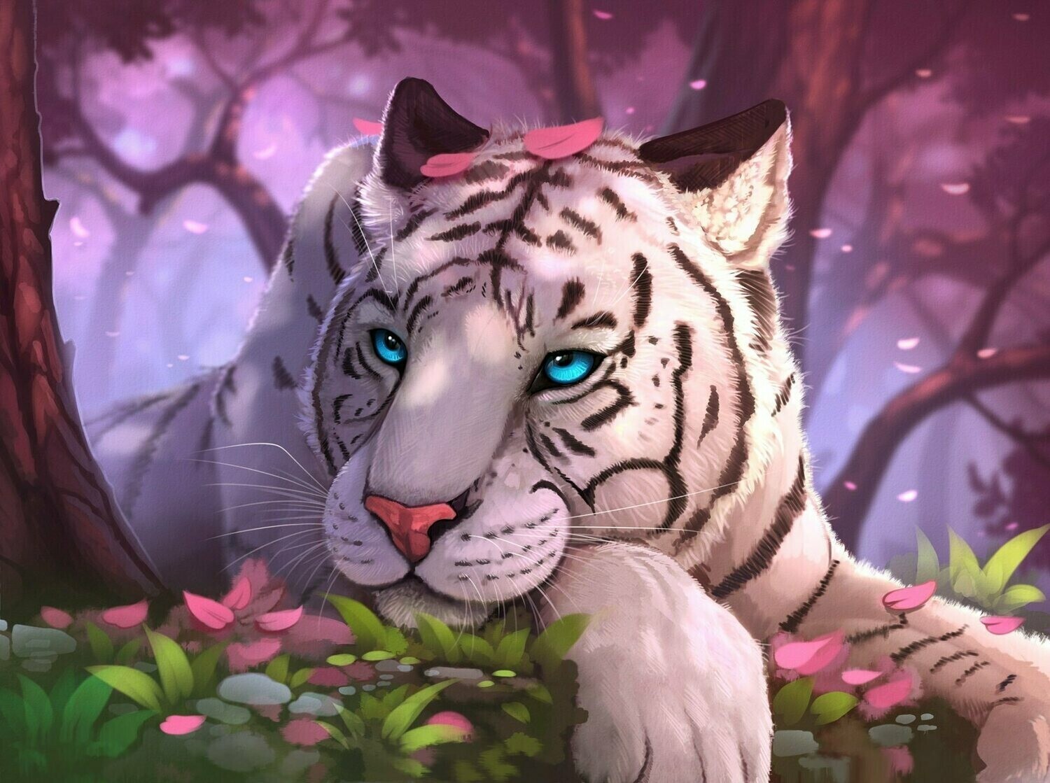 White tiger 02 - Specially ordered for you. Delivery is approximately 4 - 6 weeks.