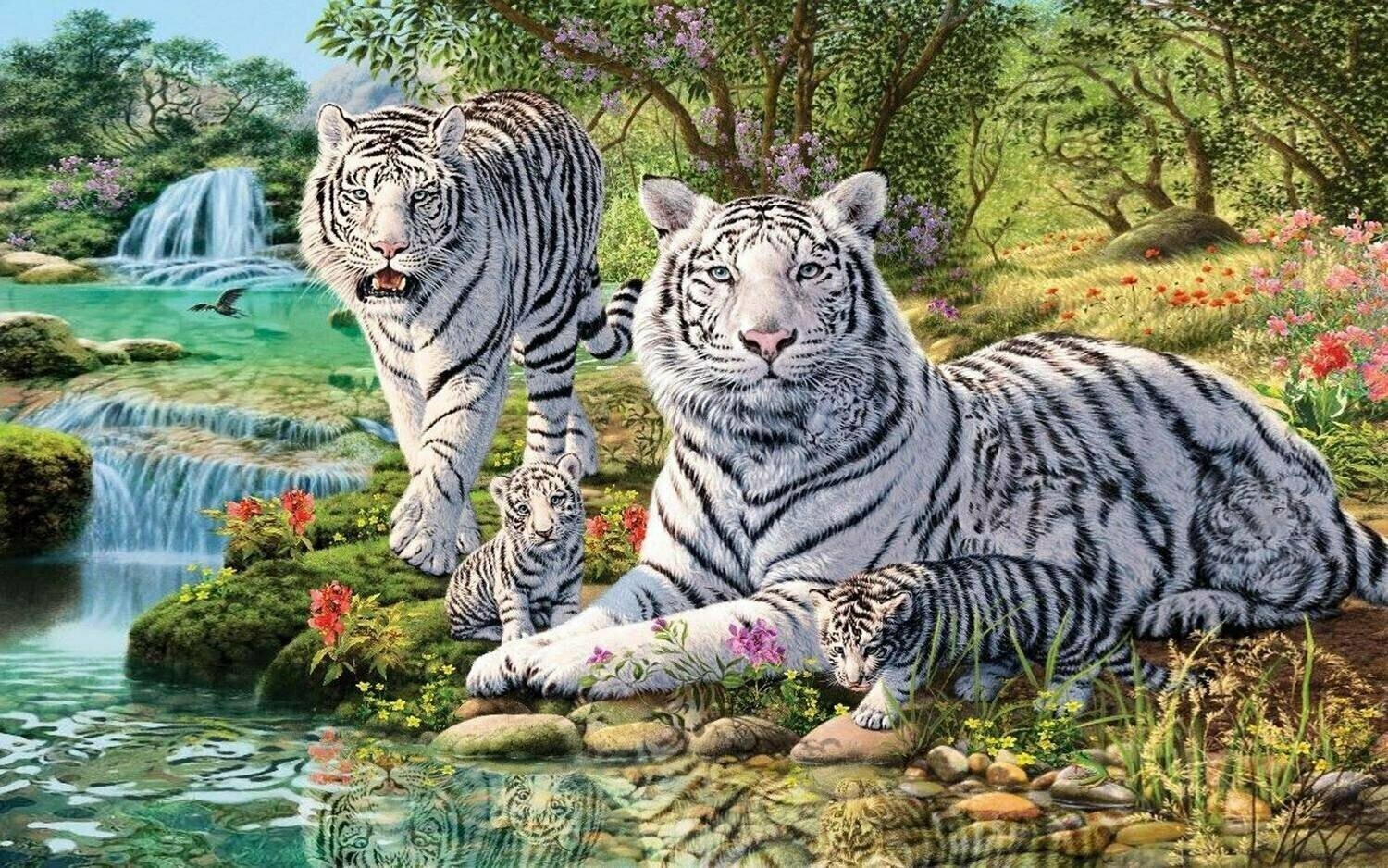 White Tiger Family - Specially ordered for you. Delivery is approximately 4 - 6 weeks.