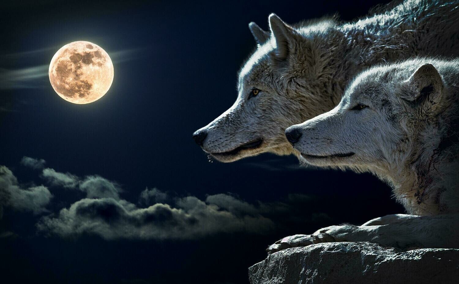 Two Wolves and the Moon - Specially ordered for you. Delivery is approximately 4 - 6 weeks.