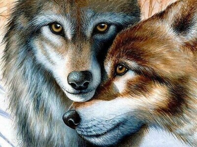 Wolf Nuzzle - Specially ordered for you. Delivery is approximately 4 - 6 weeks.