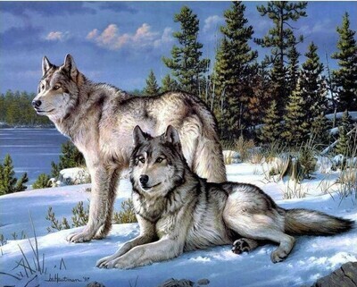Wolves - Specially ordered for you. Delivery is approximately 4 - 6 weeks.