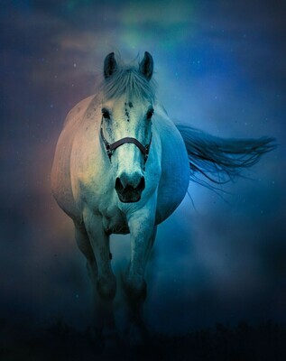White Horse Alone - Specially ordered for you. Delivery is approximately 4 - 6 weeks.